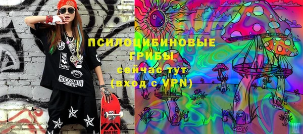 хмурый Алексеевка